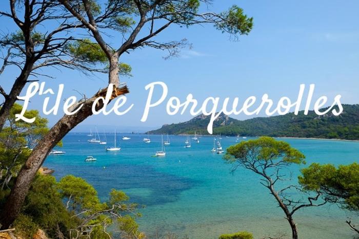 Superbe Logement Au Bord Des Plages ตูลง ภายนอก รูปภาพ